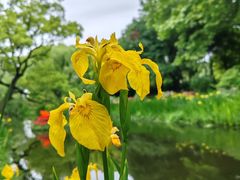 -上海共青森林公园