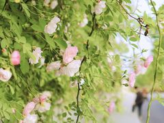 -建设三路(地铁站)