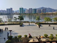 -飞来湖湿地公园