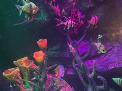 -沈阳海洋探索中心