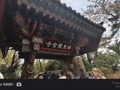 -海东龙宫寺