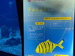 -南昌融创海世界