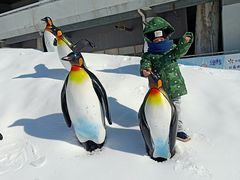 -沈阳奥体冰雪嘉年华