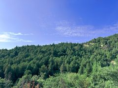 -涂山风景区