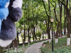 -重庆市江北嘴中央商务区中央公园