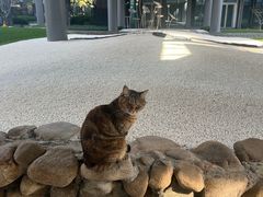 -陆家嘴世纪金融广场