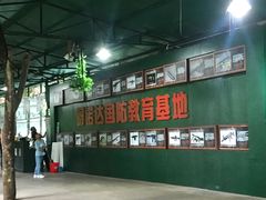 -呀诺达热带雨林