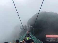 -梦幻奥陶纪景区