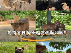 -海南热带野生动植物园