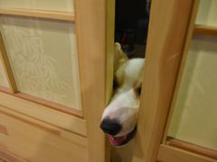 -网鱼网咖(上海静安寺店)