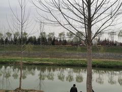 -洨河生态公园