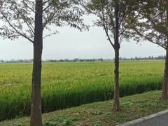 -嘉北郊野公园