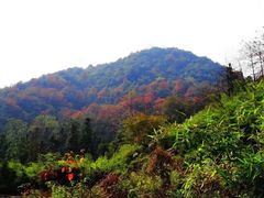 -会稽山峡洞漂流-上青古道