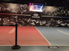 -VS SPORTS PARK运动玩乐园·团建·生日会(合生汇店)