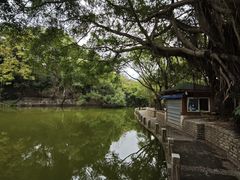 -人民公园(罗湖区)