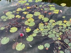 -河南省黄河迎宾馆