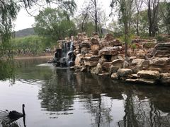 -石家庄市动物园