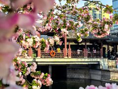 -海棠花溪(元大都城垣遗址公园)