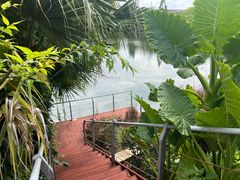 -抚仙湖万达文华酒店