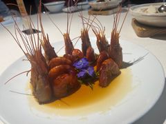 -禧宴Joyous Restaurant(禧园店)