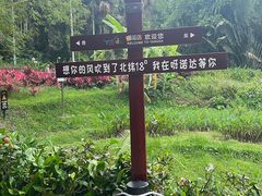 -呀诺达热带雨林