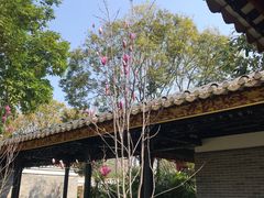 -顺峰山公园