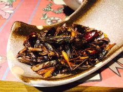 -福照楼汽锅鸡·云南菜(护国路店)