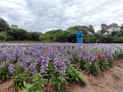 -广州市流溪河国家森林公园