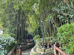 -竹海听涛生态山庄