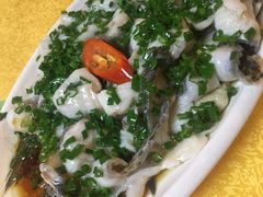 起鱼片蒸罗非鱼-鸽王世家(东华东路店)