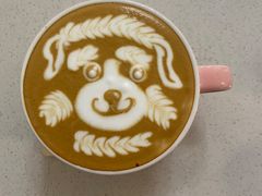 -SAFARI COFFEE
