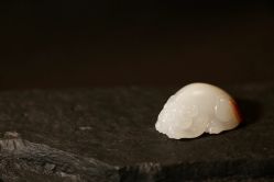 -藏晶堂(丰盛里店)