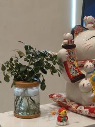 -佳妍惠美科技美肤美体中心