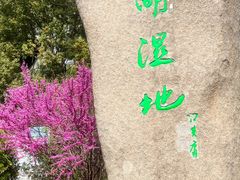 -溱湖国家湿地公园