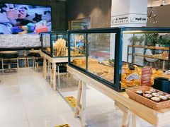 -熊叔熊婶面包房(团结湖店)
