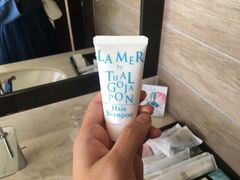 -丽嘉皇家酒店GRAN冲绳