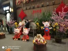 -婺源梦里老家大型山水实景演出