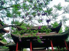 -龙潭水乡