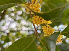 -三江森林温泉度假区