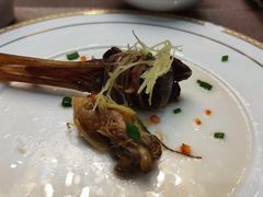 -鸽鸟轩(石岐店)