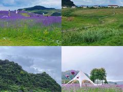 -乌蒙大草原