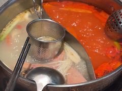 -菌自在·云南野生菌火锅(长安万达店)