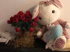 -天空花园餐吧·生日·团建(南山店)