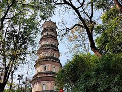 -惠州泗洲塔