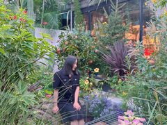 -自由生长植物工作室(深港花卉中心店)