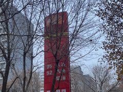 -中国石化加油站(路顺鑫加油站)