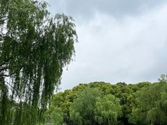 -九科绿洲