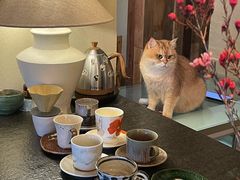 -Silly Dog Coffee(滨江店)