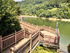 -桃花岭景区