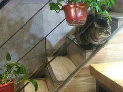 -螺大蛳柳州螺蛳粉·火锅·热干面(西城永捷店)